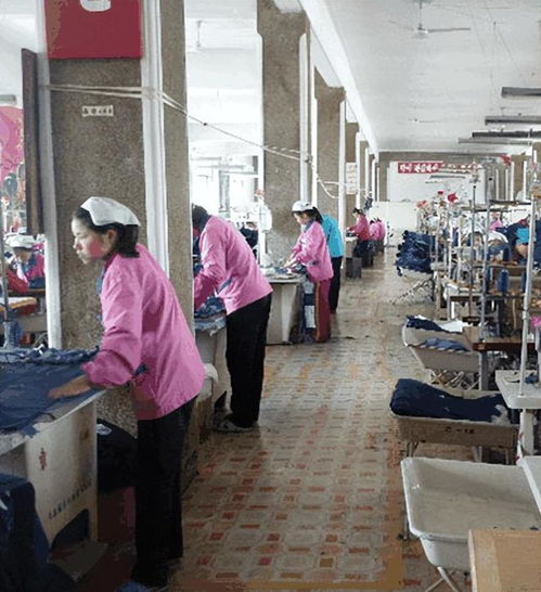 朝鮮工廠女工的自述 以奉獻(xiàn)為美，以集體為家
